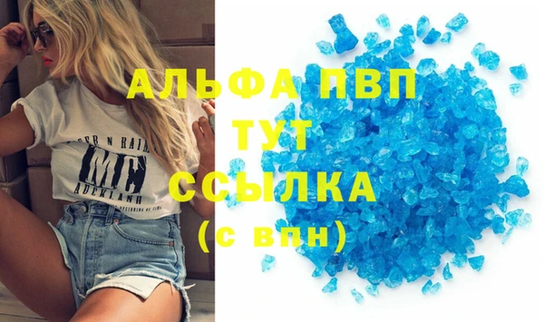 прущие грибы Заволжск