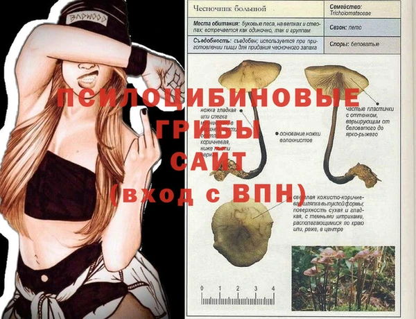 таблы Заволжье