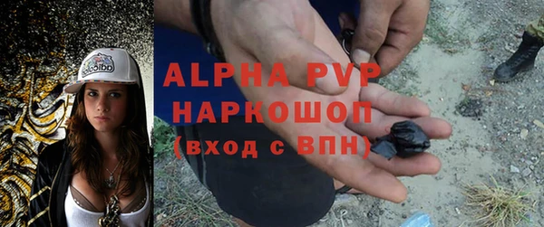 прущие грибы Заволжск