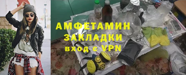 прущие грибы Заволжск