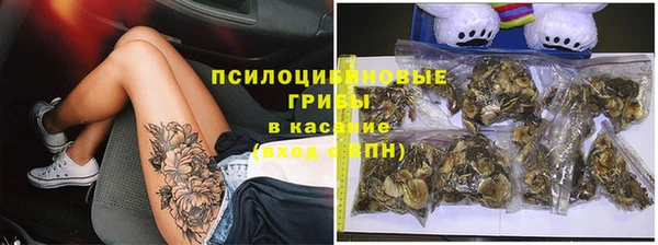 прущие грибы Заволжск