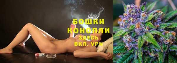 прущие грибы Заволжск